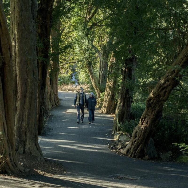 Go for a walk in the Botanic Gardens in Dublin, ideally in the  sunshine. Photograph: Brenda Fitzsimons