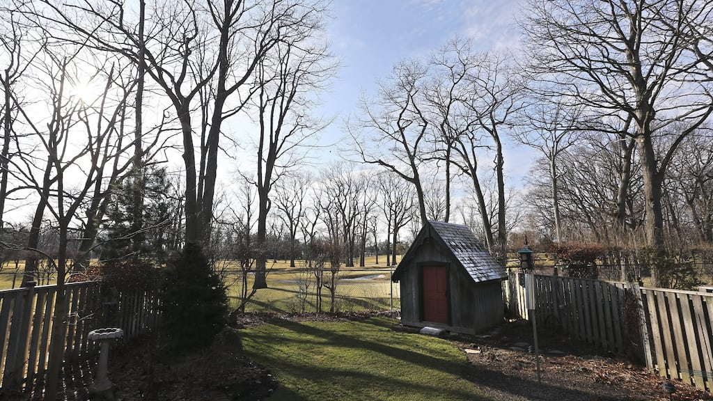 Trees and the related issue of natural light – or the blocking of it – are one of the most common issues for property owners and their neighbours. Photograph: Getty Images