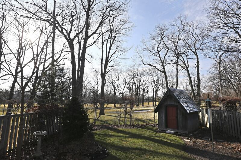 Can we ask our new neighbours to trim the trees blocking light?
