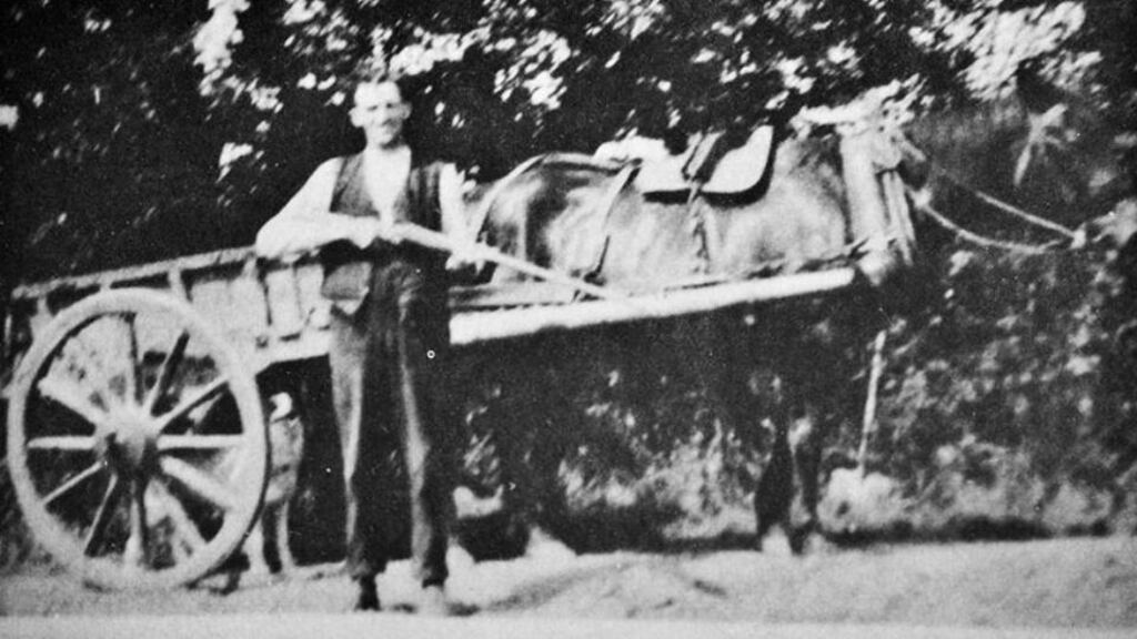 Innocent: Harry Gleeson could not have killed Mary McCarthy, according to Seán MacBride, his lawyer