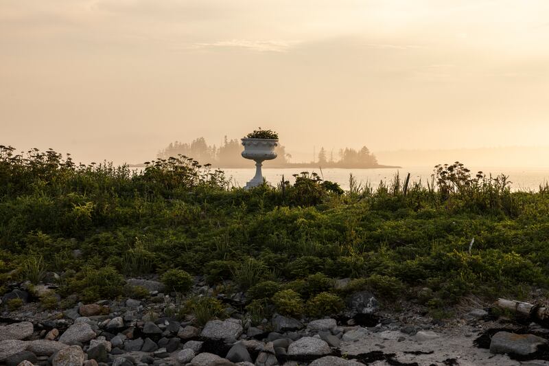 A view of a nearby island dotted with spruce trees seen from Duck Ledges Island. Photograph: Greta Rybus/The New York Times
                      