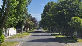 Blackrock housing go-ahead reversed over missing bat report