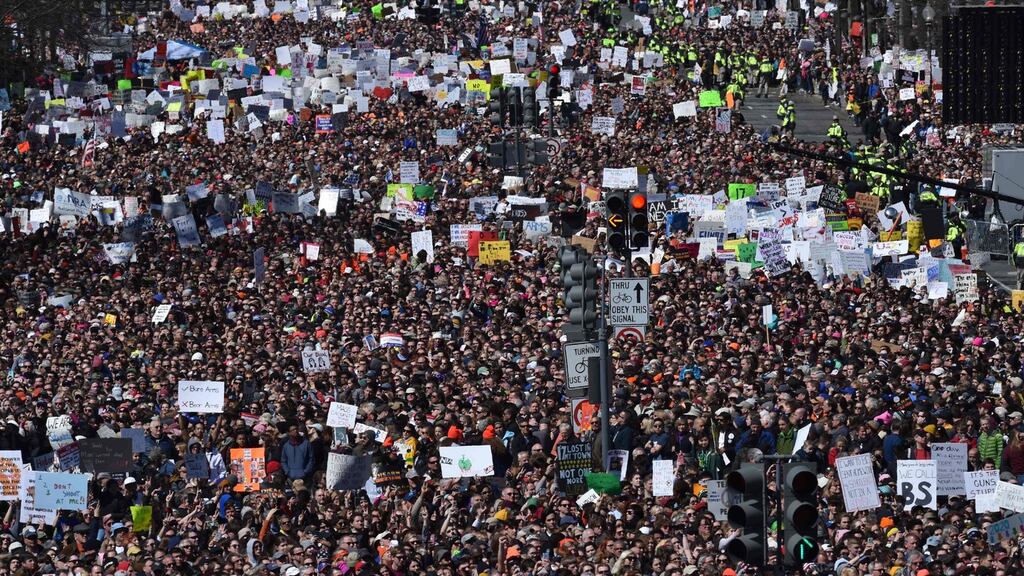 Crowds gather during the March for Our Lives Rally in Washington, DC on March 24th, 2018
