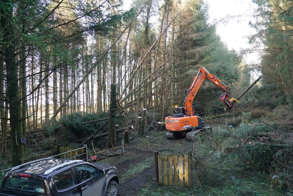 Contractors work to clear trees on a driveway in Cloonsheevar in Co Roscommon. Picture: Enda O’Dowd