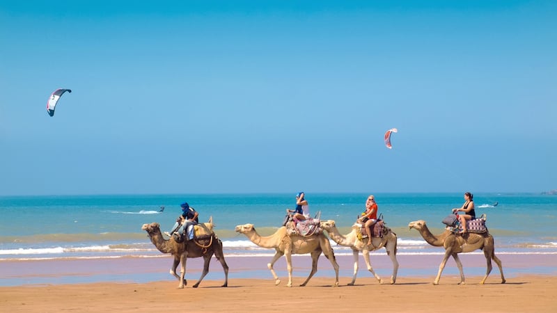 Atlantic retreat: yoga, meditation, surfing, and watching the camels go by in Morocco. Photograph: Getty