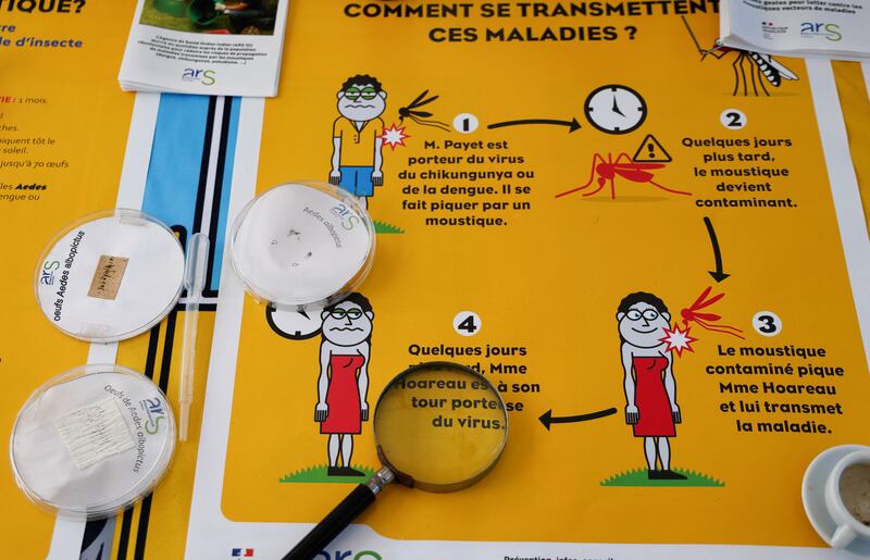 An explanatory pamphlet presenting the transmission process and impact of the Chikungunya pandemic. Photograph: Ludovic Marin/AFP via Getty Images