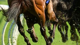 Racehorse trainers association silent after Chris Gordon defamation ruling upheld