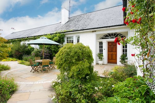 Prominent doctor’s equine escape