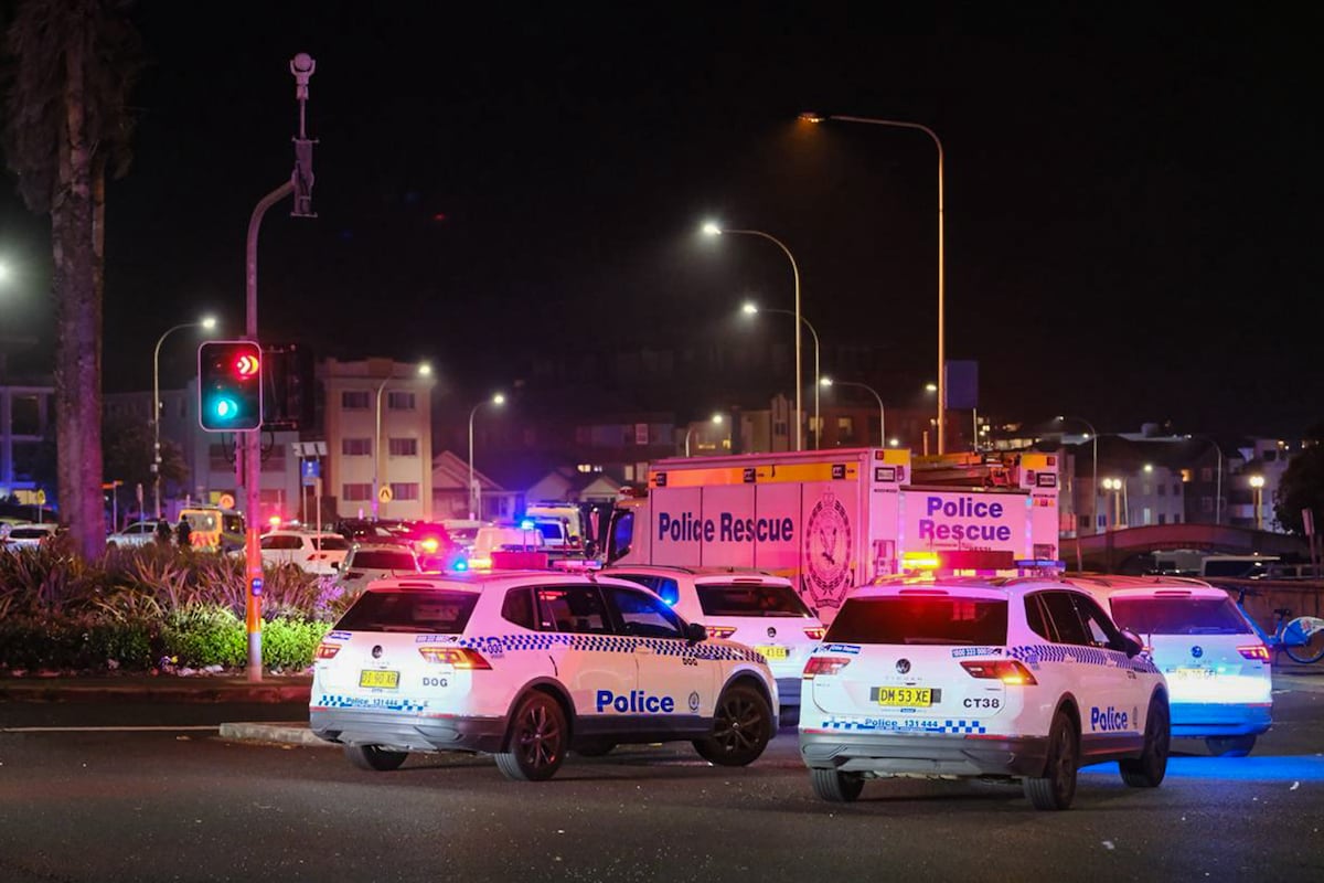 Bondi Beach mass shooting: At least 10 dead and 18 hospitalised