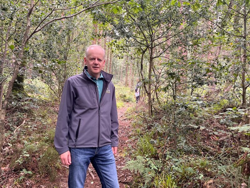 Coillte managing director Mark Carlin at Glenart forest in Co Wicklow, where the estate is managed primarily for nature. Photograph: Kevin O'Sullivan