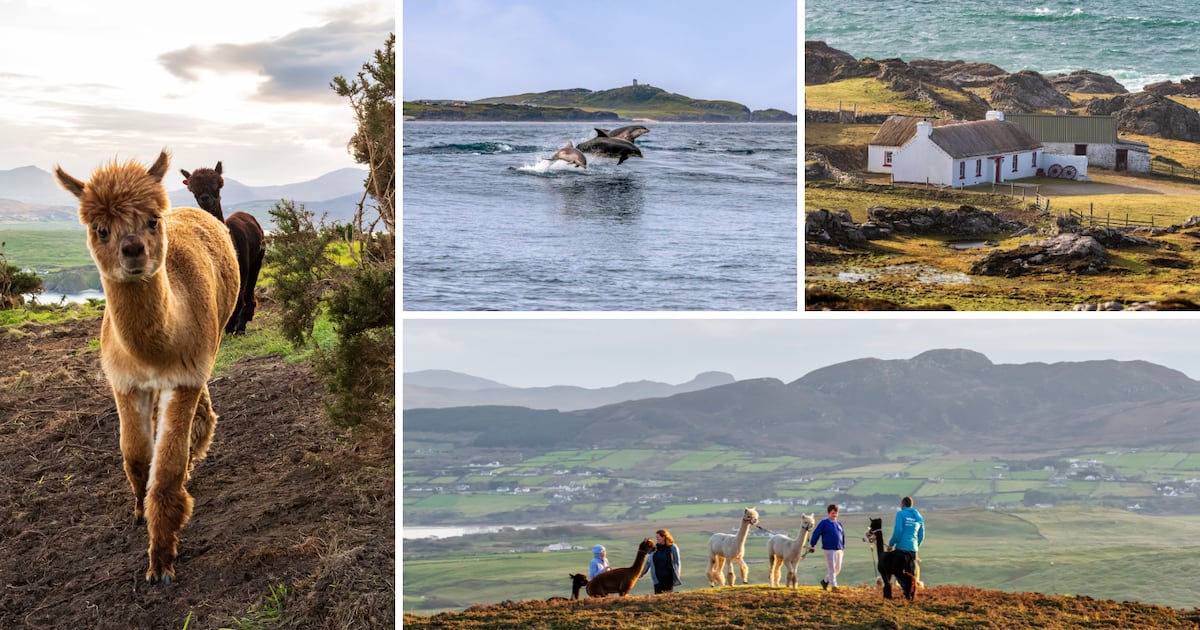 My first trip to the Inishowen Peninsula raises a big question: why would anybody live in a city?
