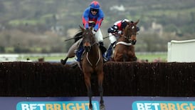 Splash Of Ginge sees off Hunt Ball at Cheltenham