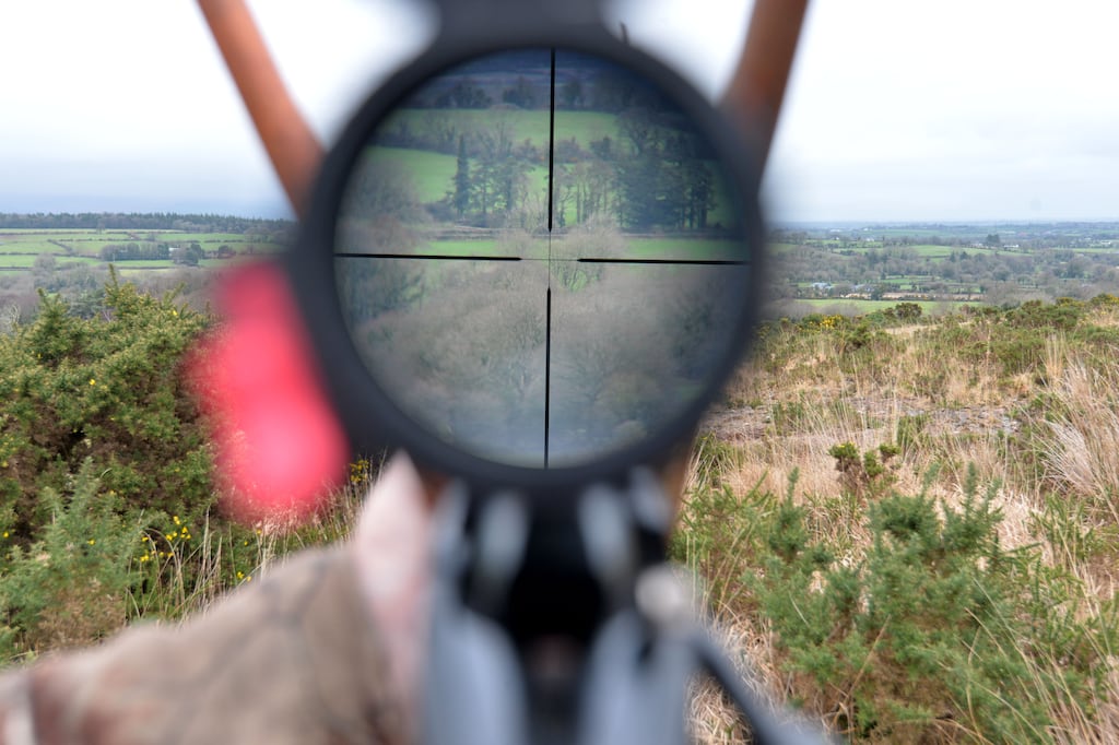 September 1st has again been declared 'open season' for the hunting of game despite a promise by the Government to reform arrangements in an attempt to protect species with declining numbers. Photograph: Alan Betson