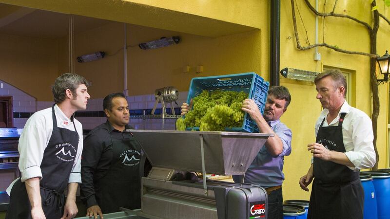 Fruit grower and wine maker David Llewellyn crushing grapes at BrookLodge for the 2016 vintage, with Evan Doyle (right), head chef James Kavanagh (left) and restaurant manager Manish Pallewar.