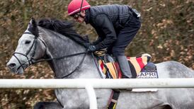 Capri in major challenge to become second Irish-trained winner of Japan Cup