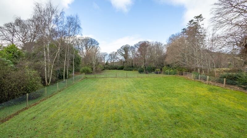 Back garden