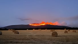 Slievenamon wildfire spreads to adjacent Coillte forest in Co Tipperary