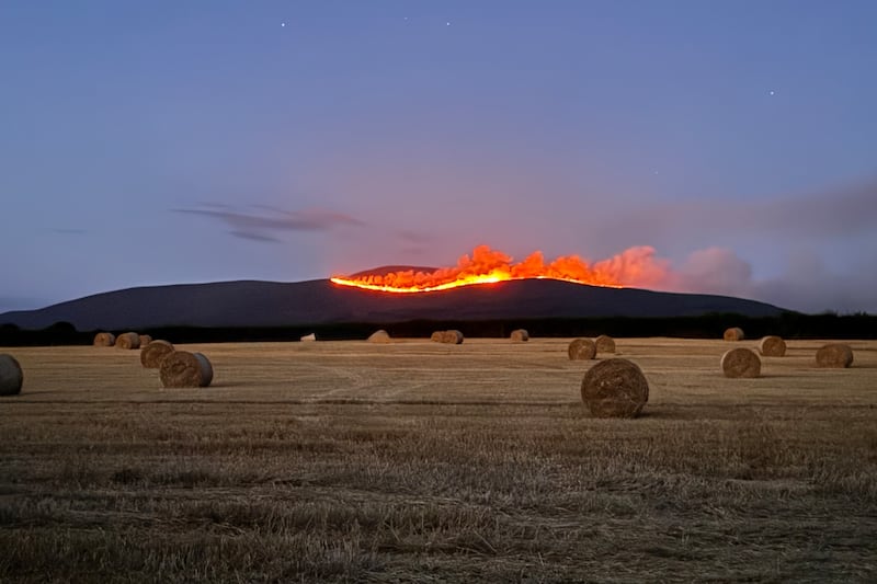Slievenamon wildfire spreads to adjacent Coillte forest in Co Tipperary