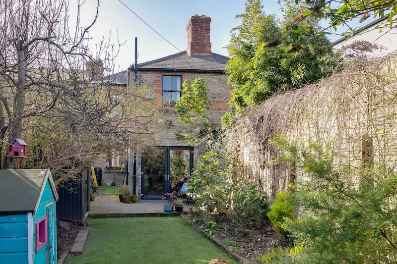Back garden