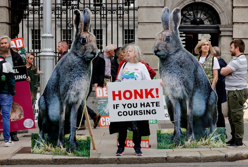 Activists protest against hare coursing near the Dáil. Photograph: Alan Betson / The Irish Times

