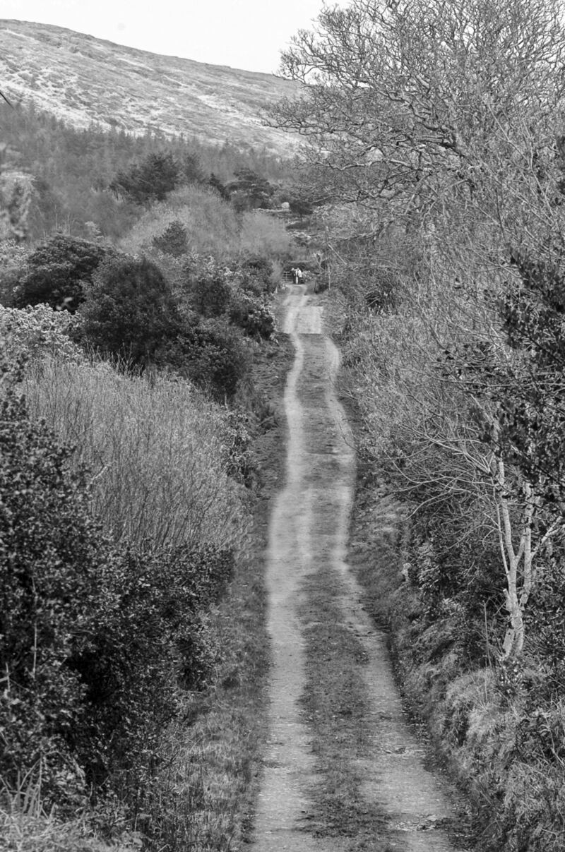 Butter Road