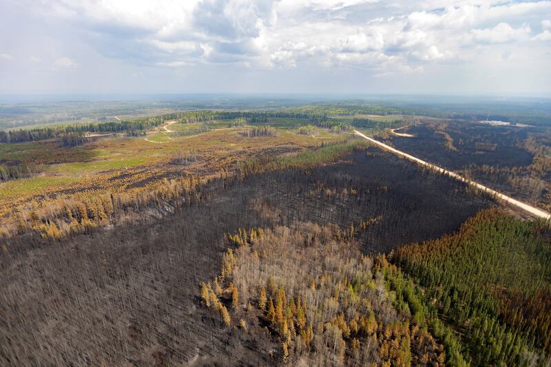 A burnt landscape caused by wildfires near Entrance, Wild Hay area, Alberta, Canada on May 10th. Photograph: Megan Albu/AFP via Getty