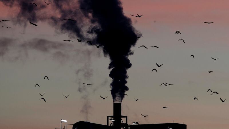 Development that has led to loss of habitat, climate change, overfishing, pollution and invasive species is causing a biodiversity crisis. Photograph: Michael Probst/AP