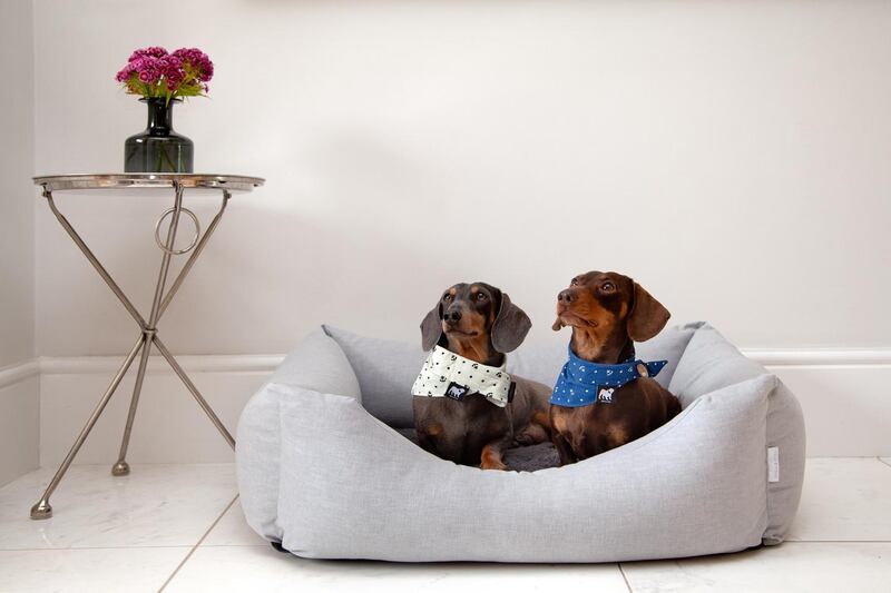 Dog bed from Hugo & Otto