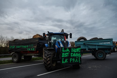 Mercosur decision may be delayed until January, Thomas Byrne says