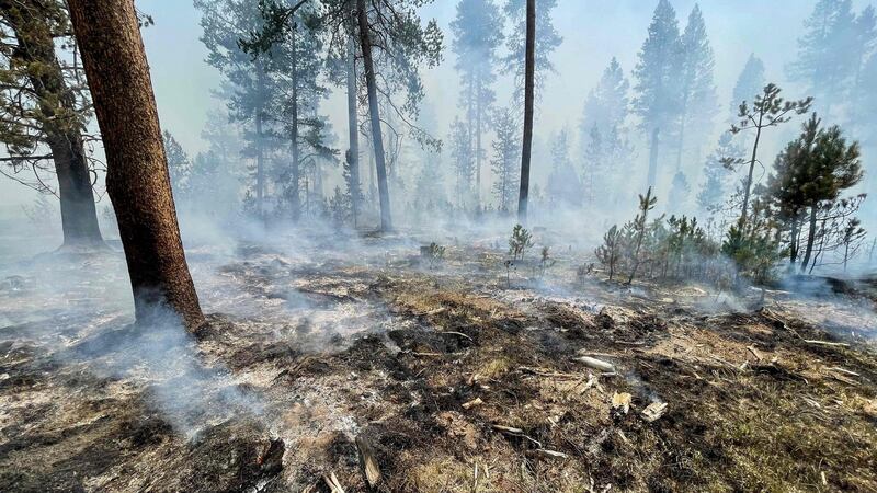 Wildfires in the drought-hit western United States and Canada are continuing to scorch vast areas. Photograph:  US Forest Service/AFP via Getty