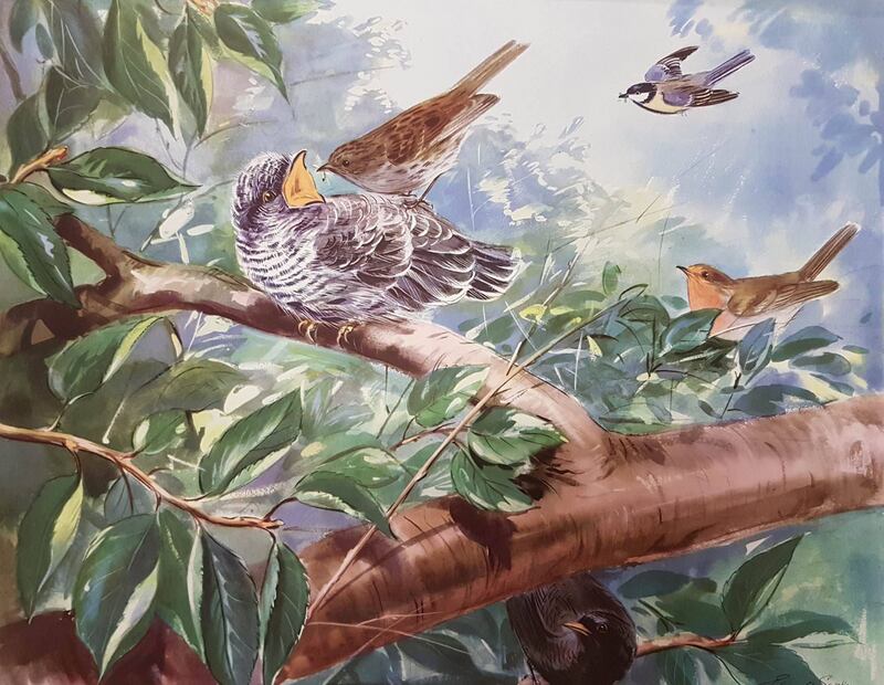 One of a set of 60 coloured prints, The Enid Blyton Nature Plates, by the illustrator Eileen Soper, the renowned 20th-century English illustrator of children’s and wildlife books who often collaborated with Enid Blyton. The estimate is €200-€300 for the lot.