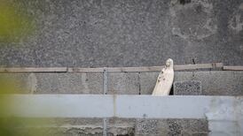 Excavation begins of site of Tuam mother and baby institution