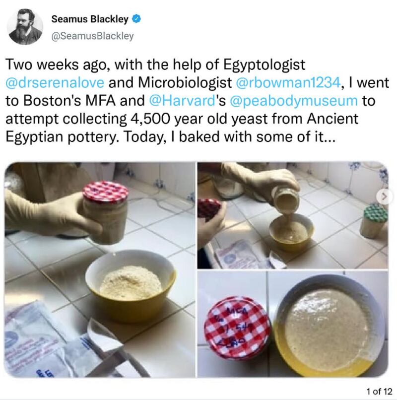 Seamus Blackley's now-deleted Twitter thread about baking with ancient Egyptian yeast