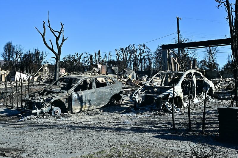 Burned-out cars and homes reduced to rubble by the Palisades Fire are seen in the Pacific Palisades neighbourhood of Los Angeles. Photograph: Frederic J. Brown/Getty Images