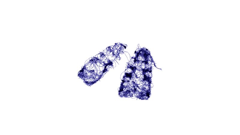 Mark Clare's Eidolons uses AI animation software to create imperfect drawings of lost species