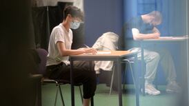 Some college students ‘better suited’ to vocational or technical routes, committee hears