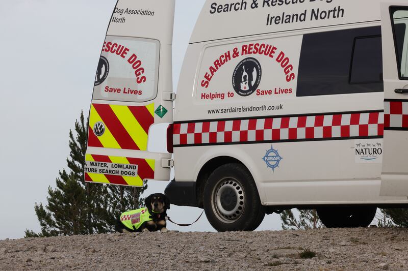 Cadaver dog Rosie waiting for a turn during a  training session at a quarry. Photograph: Alan Betson

