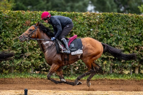 The Lion In Winter hunting Group One Lockinge glory