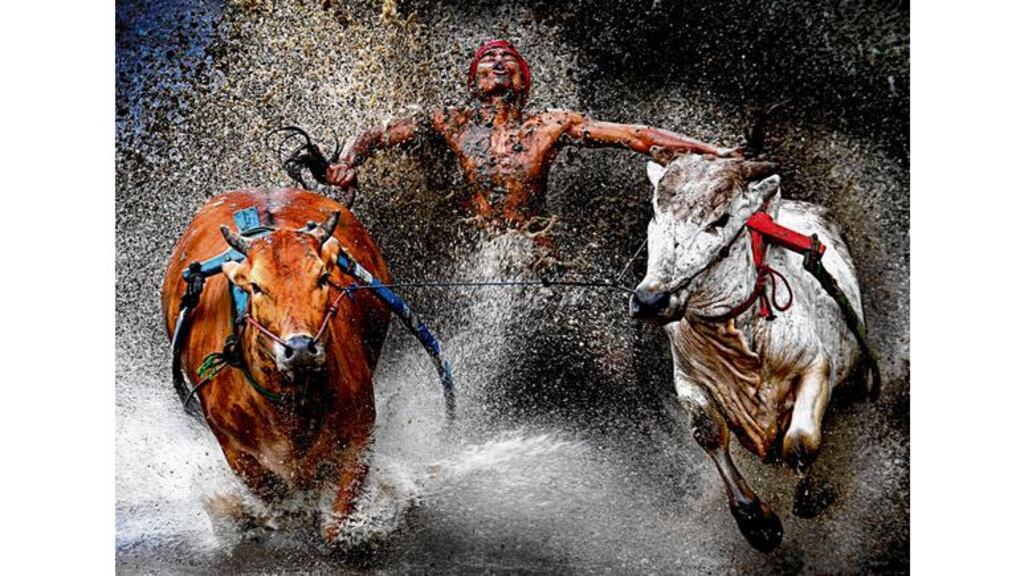 Photograph: Chen Wei Seng/World Press Photo