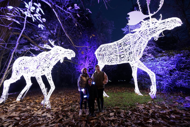 Wonderlights, a family friendly festive outing