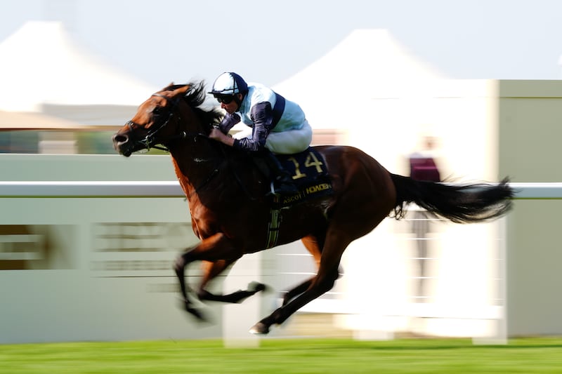 Trinity College ridden by Ryan Moore on their way to winning the Hampton Court Stakes at Royal Ascot. Photograph: David Davies/PA Wire