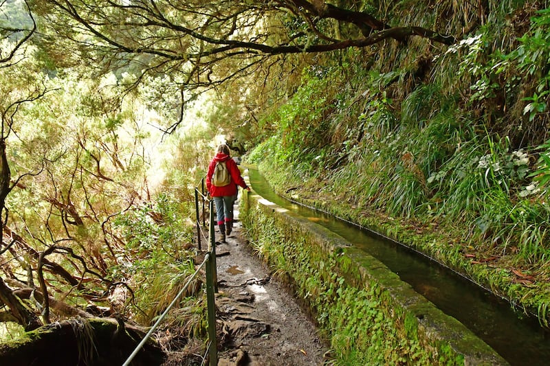 Discover the Levadas in Madeira