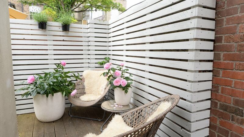 Back patio  in  Ruthie Ashenhurst’s Ballsbridge home. Photograph: Dara Mac Dónaill