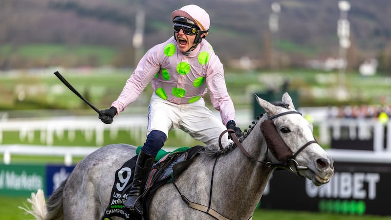 Cheltenham Day One as it happened - Lossiemouth dominates in Champion Hurdle