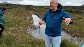 The businessman restoring a blanket bog in one of the most remote parts of Ireland