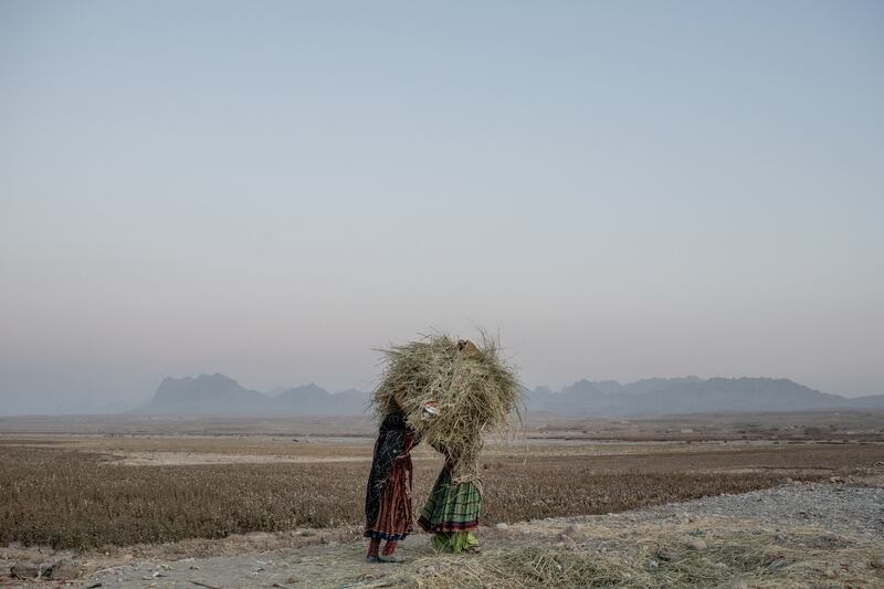 Nomads along Highway 1. Photograph: Tomas Munita/The New York Times