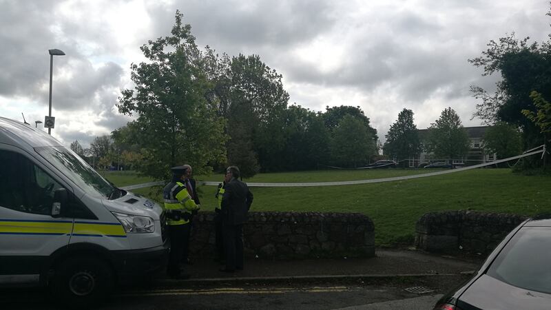 Gardai at Finsbury Park in south Dublin where a teenager was fatally stabbed on Friday night. Photograph: Colin Gleeson