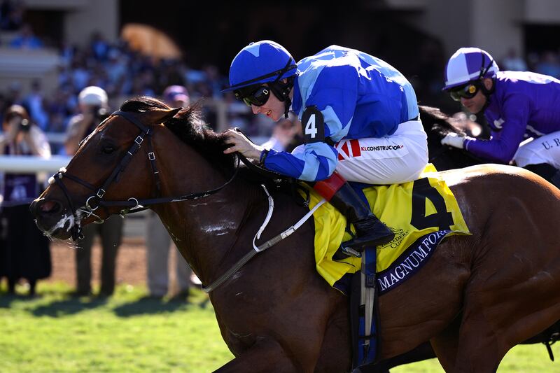 Where Magnum Force is concerned, it is all about fast ground, says trainer Ger Lyons.  Photograph: Orlando Ramirez/Getty Images