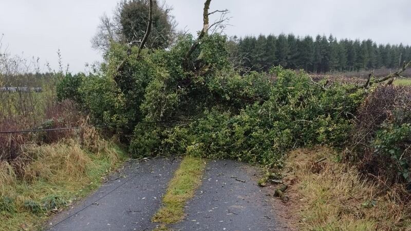 A number of people in the Cam area of Edgeworthstown, Co Longford, are currently trapped in their cul de sac due to fallen trees. Photograph: Jessica Thompson