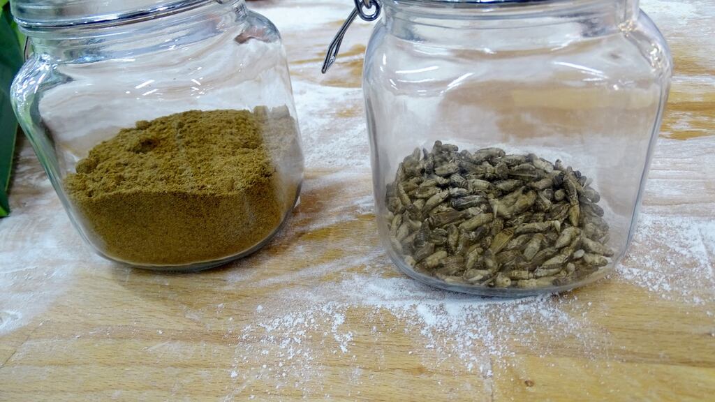 Flour ground from dried crickets and crickets in jars, for the first mass-delivered bread made from insects, at the Finnish food company Fazer bakery in Helsinki on Thursday. Photograph: Attila Cser/Reuters